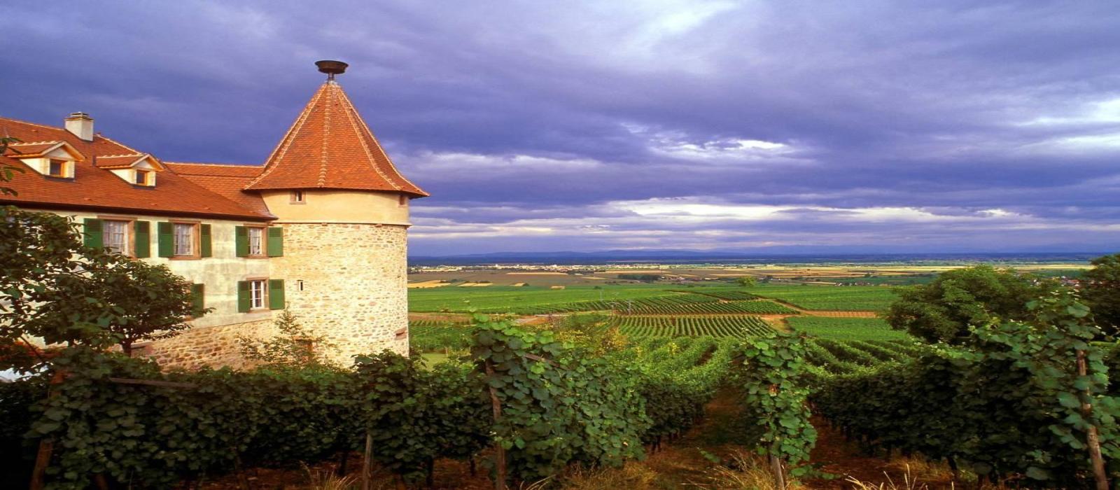 003-01--f--elsass--landschaft-bei-colmar-4