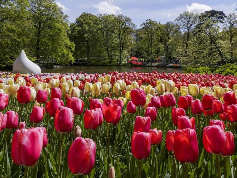 keukenhof-foto-8