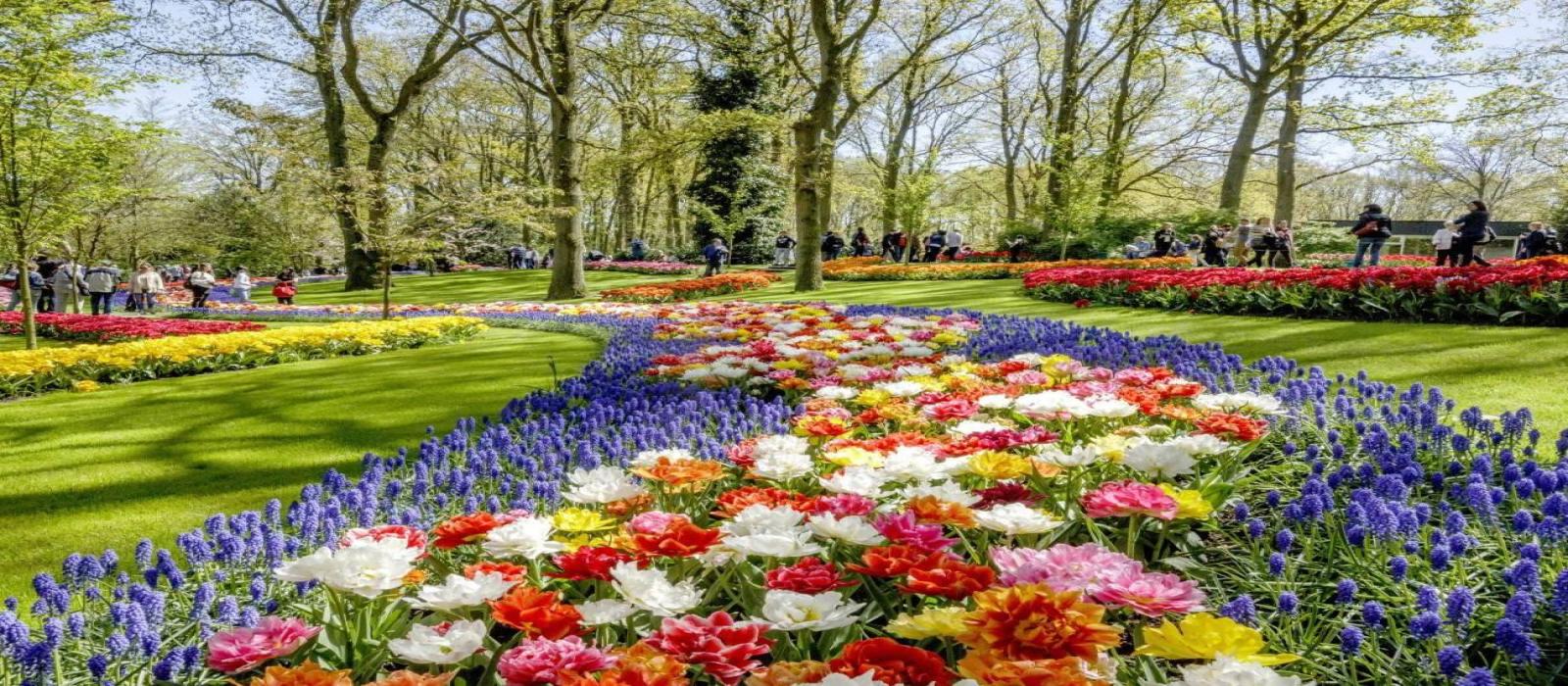 keukenhof-foto-9