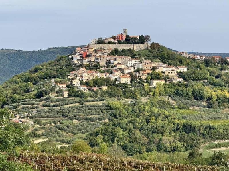 motovun--(4)-4