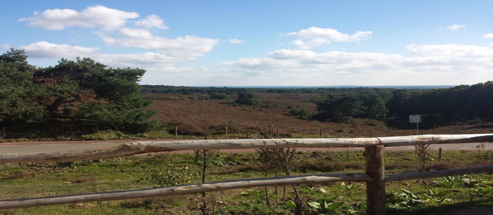 veluwe.foto-irenebeaupain.20170923_151705(2).-4